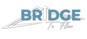 bridge_flow_logo